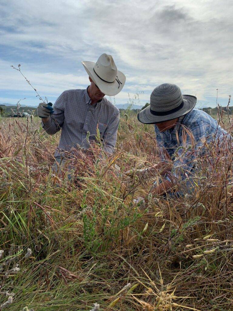 Russell Chamberlin and Mary Heyden perform soil and grass monitoring at Chamberlin Ranch