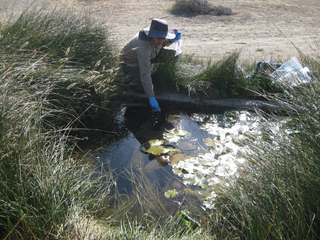 A researcher takes samples at McDonald Well Spring in California.