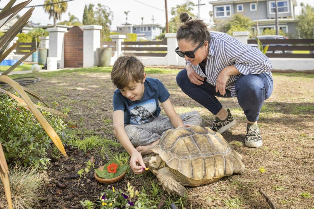 Family and Turtle in the Garden, Gardening for Pets
