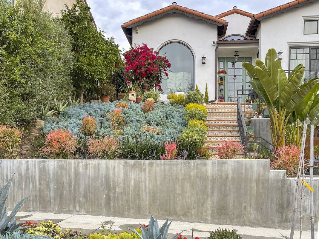 Gardening for color and texture in Los Angeles.