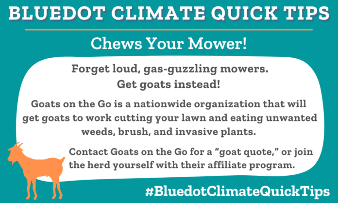 Climate Quick Tip: Forget loud, gas-guzzling mowers. Get goats instead! Goats on the Go is a nationwide organization that will get goats to work cutting your lawn and eating unwanted weeds, brush, and invasive plants. Contact Goats on the Go for a “goat quote,” or join the herd yourself with their affiliate program.
