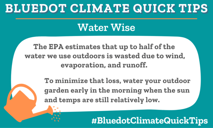 The EPA estimates that up to half of the water we use outdoors is wasted due to wind, evaporation, and runoff. To minimize that loss, water your outdoor garden early in the morning when the sun and temps are still relatively low.
