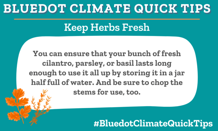 Climate Quick Tip: Keep Herbs Fresh You can ensure that your bunch of fresh cilantro, parsley, or basil lasts long enough to use it all up by storing it in a jar half full of water. And be sure to chop the stems for use, too. Food waste is a huge contributor to climate change.