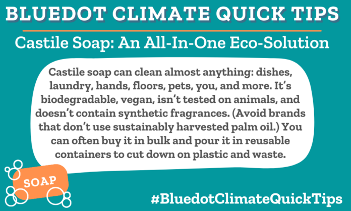 Climate Quick Tip: Castile Soap: An All-In-One Eco-Solution Castile soap can clean almost anything: dishes, laundry, hands, floors, pets, you, and more. It’s biodegradable, vegan, isn’t tested on animals, and doesn’t contain synthetic fragrances. (Avoid brands that don’t use sustainably harvested palm oil.) You can often buy it in bulk and pour it in reusable containers to cut down on plastic and waste. Bluedot loves Dr. Bronner’s castile soap, which uses only sustainably harvested palm oil. Dot has more to say on why that matters.